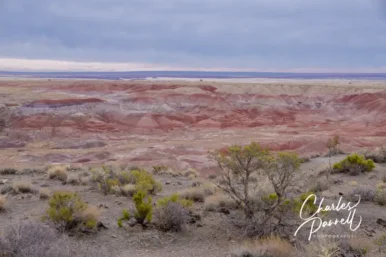 Petrified Forest National Park — A Grand Road Trip Stop
