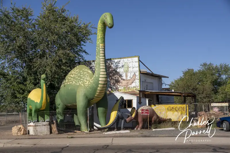 Rainbow Rock Shop