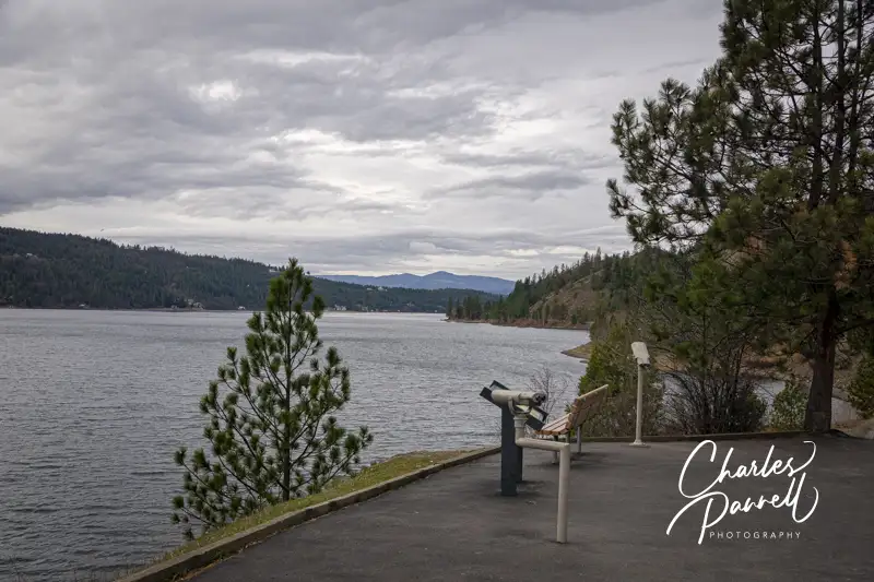 Wheelchair-Accessible Bald Eagle Viewing Sites