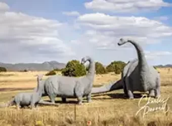 Brontosaurus Family