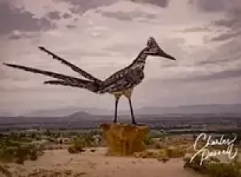 Recycled Roadrunner