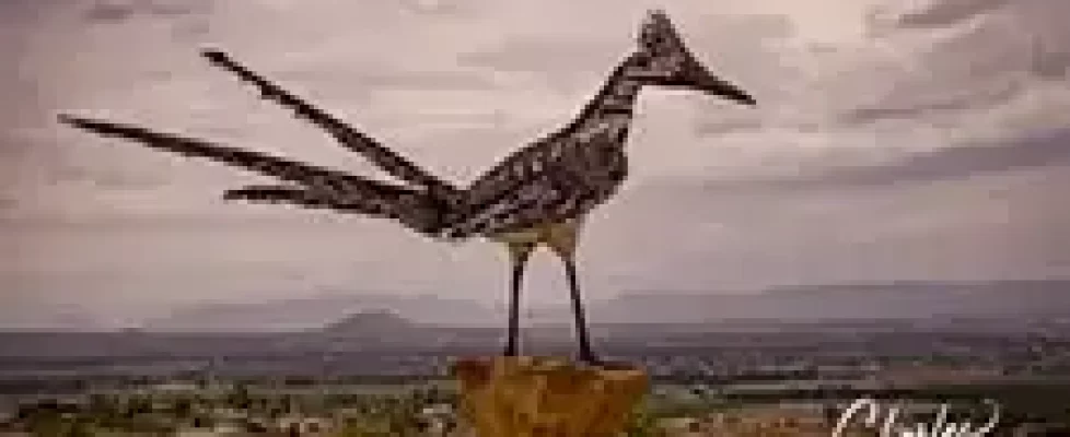 Recycled Roadrunner