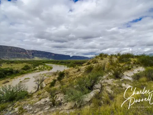 Tips for Exploring a National Park in a Wheelchair