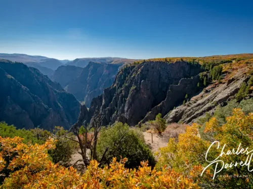 Tips for Exploring a National Park in a Wheelchair