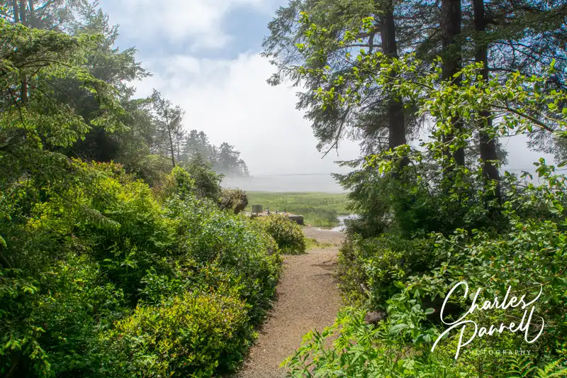 Kilchis Point Reserve: A Wheelchair- Accessible Tillamook County Gem
