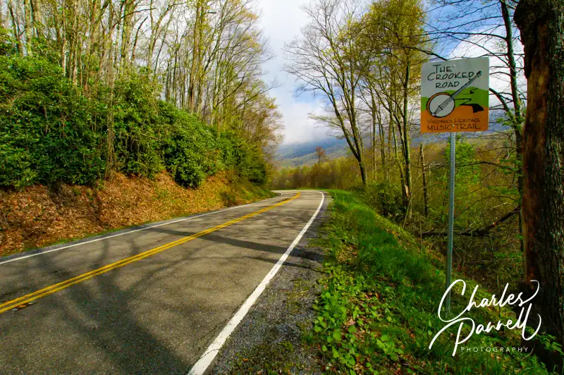 Crooked-Road-Sign